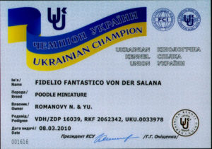 fidelio_ch_ua2